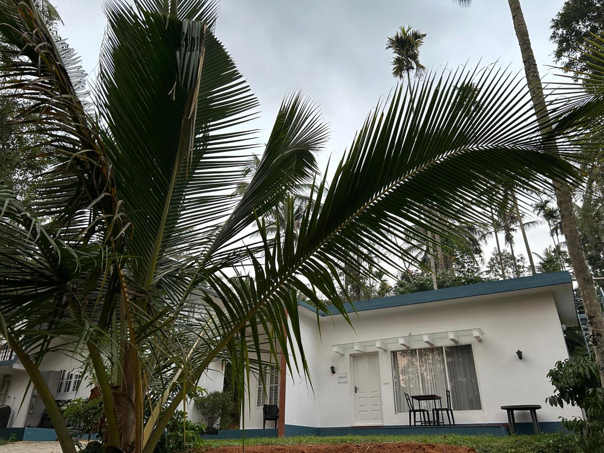 Silver Oak By Exuberance Stays Wayanad Exterior photo